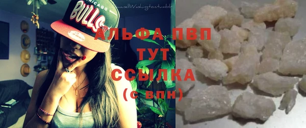 индика Балабаново