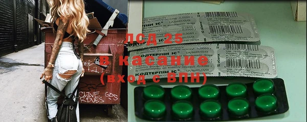 индика Балабаново