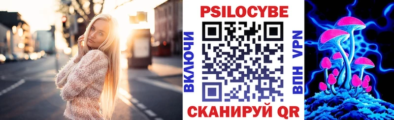 Псилоцибиновые грибы мухоморы  где продают   omg ТОР  Купино 