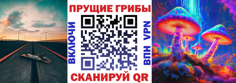 Галлюциногенные грибы прущие грибы Купино