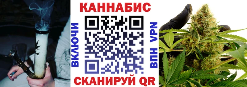 что такое   Купино  МАРИХУАНА сатива 